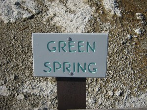 green spring